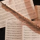 플루트 1:1 개인레슨 이미지