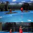 대전아쿠아리움 이미지