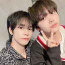 세리빠 Daum카페