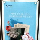 아티스 컴퍼니