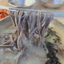 맛집 추천, 제천 맛집 추천, 옹심이 칼국수 맛집, 배우 이병헌도 다녀간 곳!?, 대복 옹심이 칼국수 리뷰