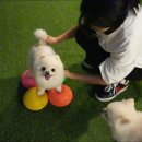 개금유치원 이미지