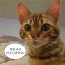 포싯스튜디오 이미지