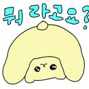 요요의부엌 이미지