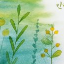 빛깔캘리그라피 이미지