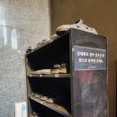 시선 | 강남방탈출 돌로 이스케이프 시선 후기