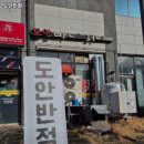 도안반점 이미지