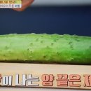 김하진 카카오 검색결과