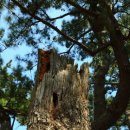 나로도바다 이미지