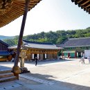 샘물마두
