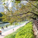 온천천관리사무소 이미지