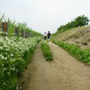 뚝섬한강공원-100 이미지