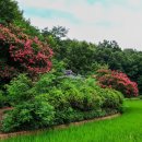 성산이씨정려각 | 예쁜 풍경... [열녀 비각을 찾아서 - 김천 개령면 덕촌리 성산이씨지비(열부학생오여건처성산이씨지비)]