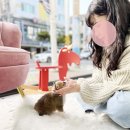 마이퍼피경남