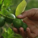 헬씨라이프 이미지