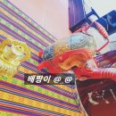 인도커리우드 네이버블로그