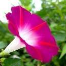 창조카센타 이미지