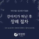 애니피아동물병원 동물미용업 | 미리 알고 있으면 더 좋은 강아지가 떠난 후 장례 절차