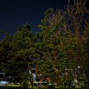 도원약국 이미지