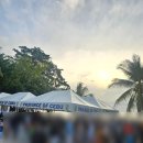 가로등마트 | 필리핀 세부 여행 3박 5일 3일차 후기(세부남부투어, 트리쉐이드 오모캐투어, 모알보알 맛집)