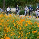 거창-거창-5 이미지