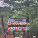 보석사로 | 충남 가볼만한 꽃무릇 명소 금산 천년고찰 보석사 꽃무릇 천년 수령 은행나무