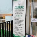 무프스 이미지