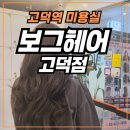염색이야기 대명점 | 고덕역미용실 염색맛집 보그헤어 고덕점 애쉬브라운후기