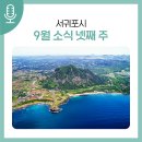 도립서귀포관악단 태교음악회 | 서귀포시 9월 소식 (넷째 주)