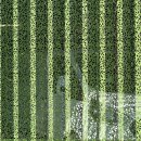 모든 바이오 이미지