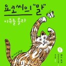 요코 이미지
