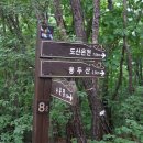 용두산(龍頭山 665m).삼각점 국망봉(481m) ‘국망봉단비(檀碑)’ 국망봉(478.5m)/경북안동 이미지