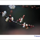 화동마을 이미지