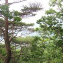 어곡농장 이미지