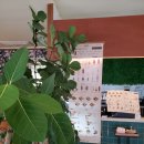 성문카센타 이미지