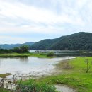 계곡이 아름다운 집 | 용인 이동저수지 카페 둘레길 경기 드라이브코스 아빠와 산책
