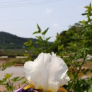 향촌농장 이미지