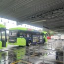 푸꾸옥 사파리 내 돈 내산 후기 / 기린&amp;코끼리 먹이주기부터 주트램 총정리 / 관람 꿀팁