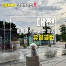 유림-39 | 대전 유성구 애견동반 - 강아지와 유림공원 산책코스