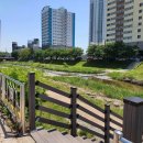 무계 스마트쉼터 이미지