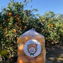 충성농장 이미지