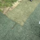 고신농장 네이버블로그