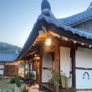 제주에산다면 이미지