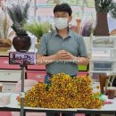 원예심리치료전문가과정 이미지