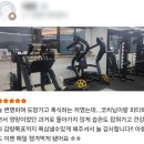 더 리얼핏 이미지