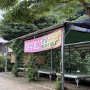 갈론사랑 이미지