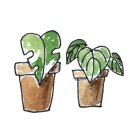 그래도 꽃 이미지