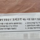 부림생오리 이미지