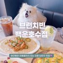 골든루트중앙로L | 의왕 애견동반 식당 l 전용룸까지 있는 브런치 맛집 브런치빈 백운호수점