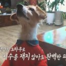 봉희농장 이미지